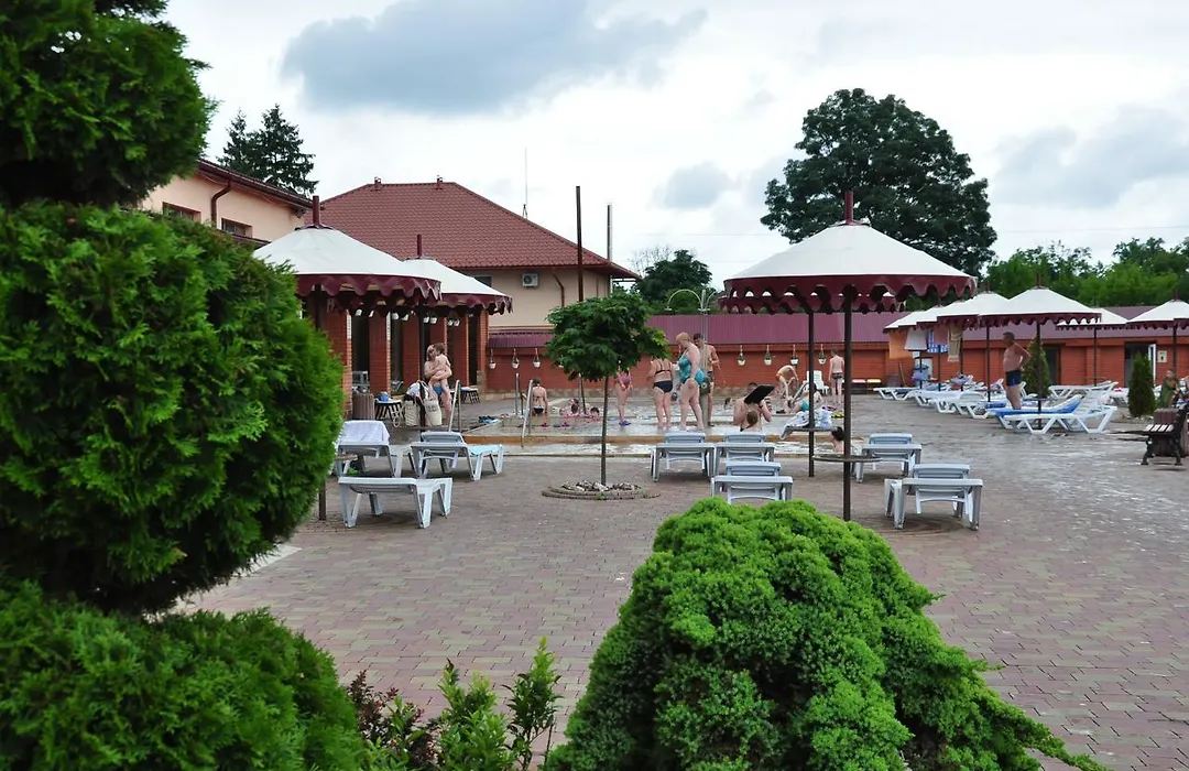 Zhayvoronok Hotel-1